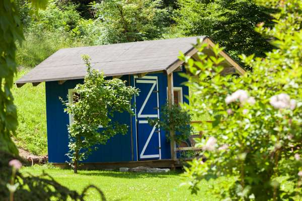 Bild aus der Galerie