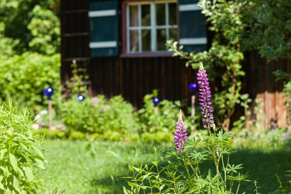 Bild aus der Galerie