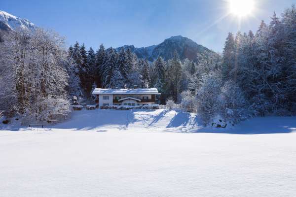 Bild aus der Galerie