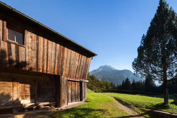 Bild aus der Galerie