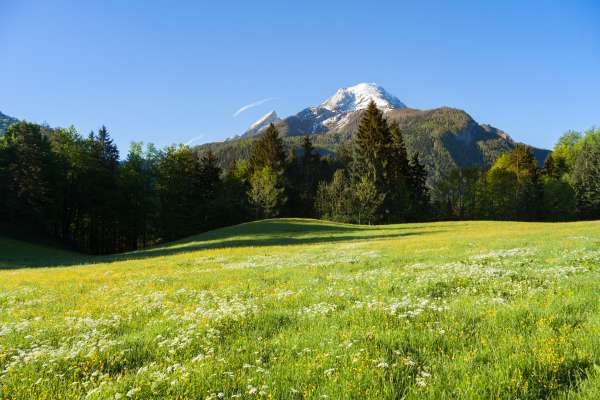 Bild aus der Galerie