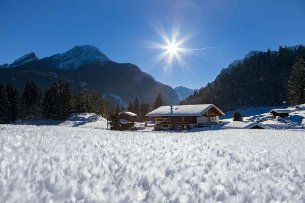 Bild aus der Galerie