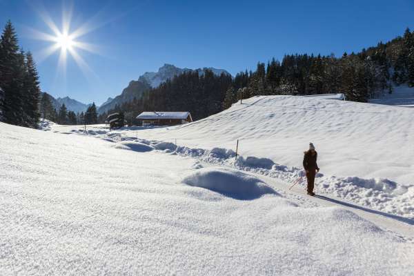 Bild aus der Galerie