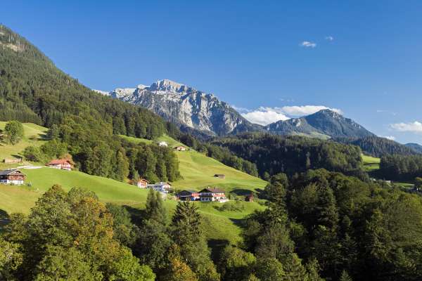 Bild aus der Galerie