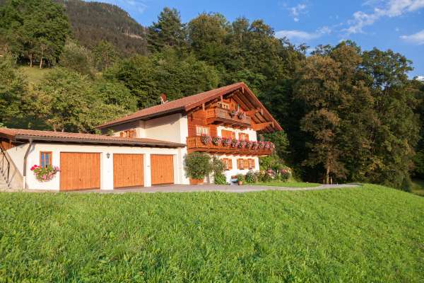 Bild aus der Galerie