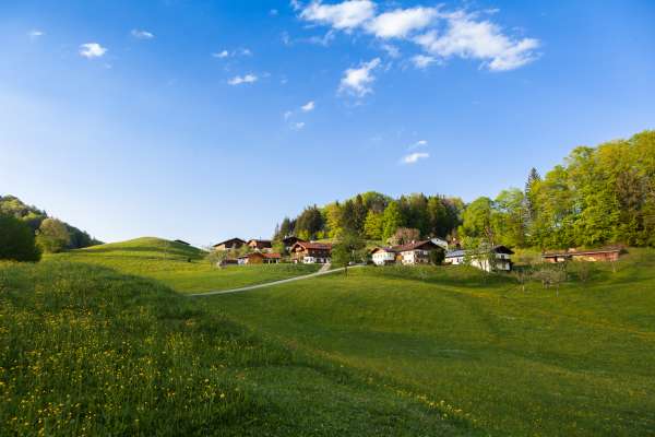 Bild aus der Galerie