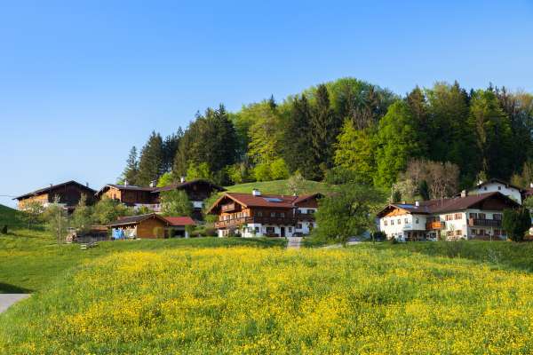 Bild aus der Galerie