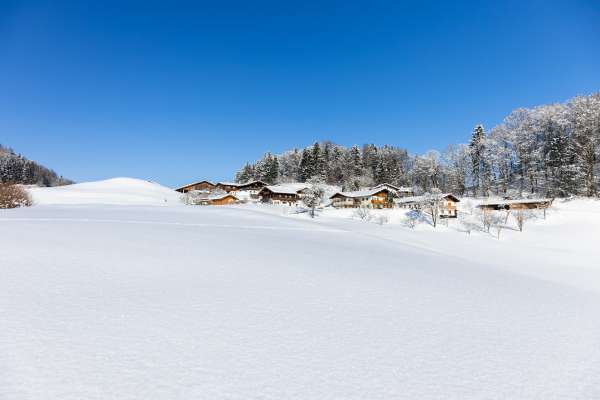 Bild aus der Galerie