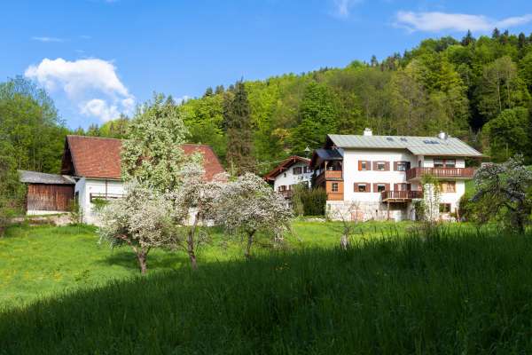 Bild aus der Galerie