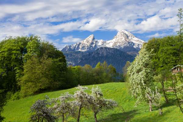 Bild aus der Galerie