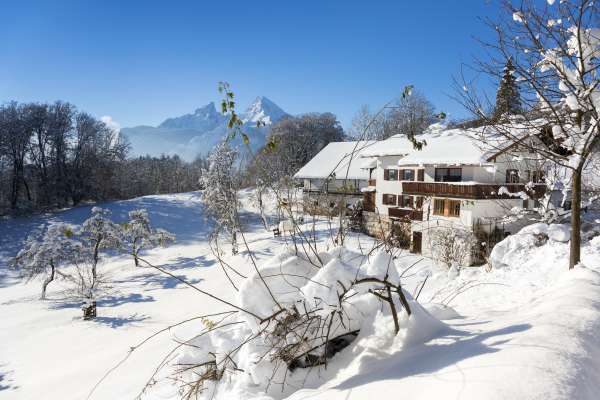 Bild aus der Galerie