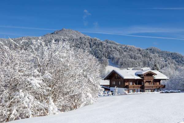 Bild aus der Galerie