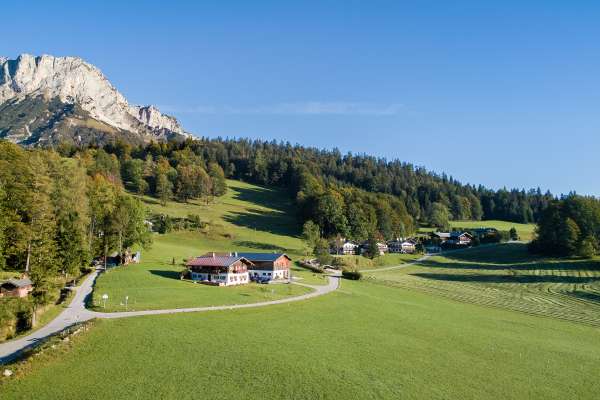 Bild aus der Galerie