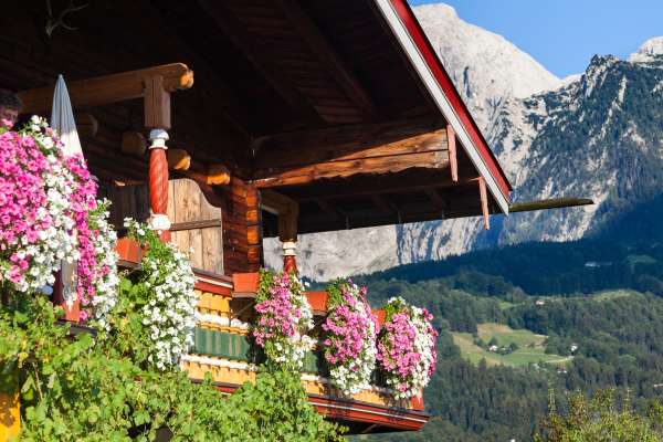 Bild aus der Galerie