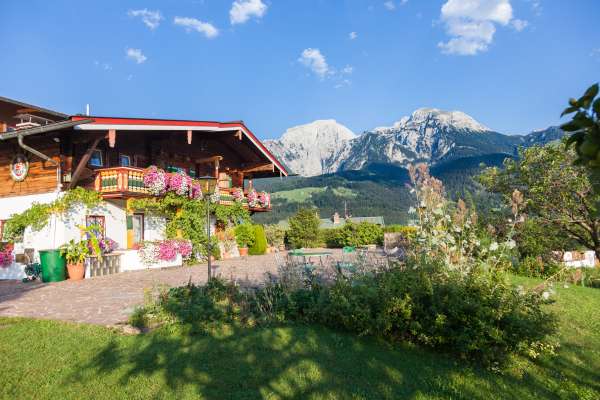 Bild aus der Galerie