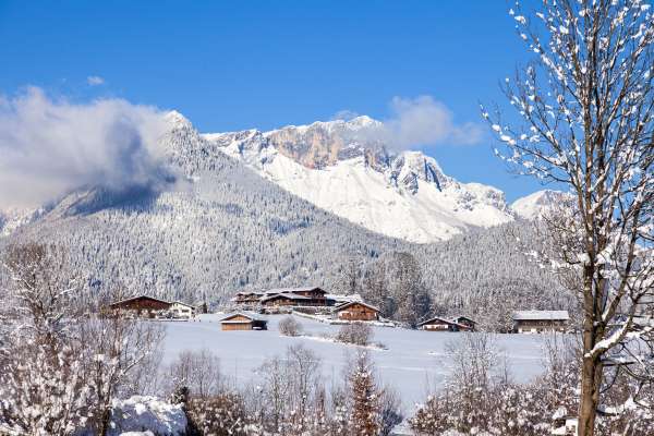 Bild aus der Galerie