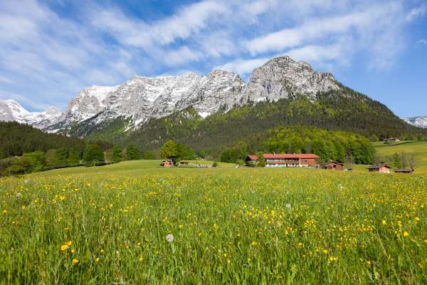 Bild aus der Galerie