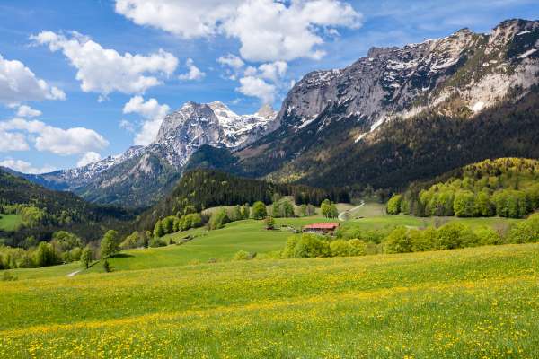 Bild aus der Galerie