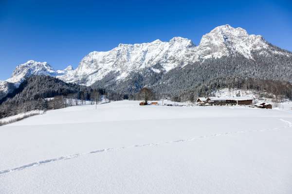 Bild aus der Galerie