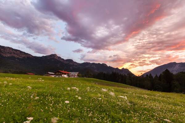 Bild aus der Galerie