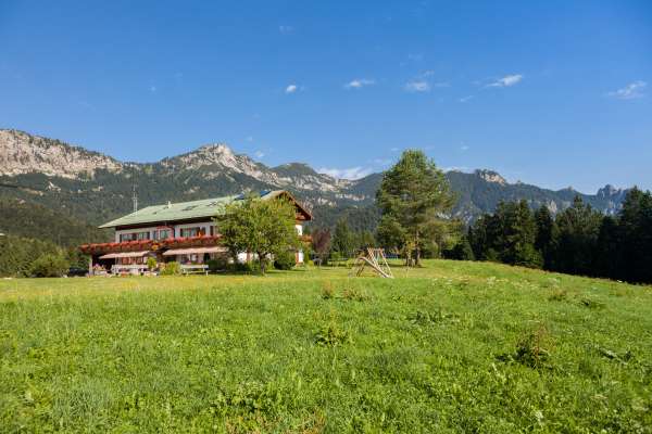 Bild aus der Galerie