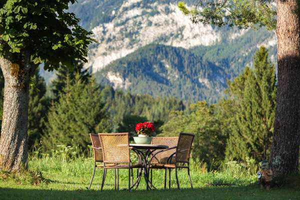 Bild aus der Galerie