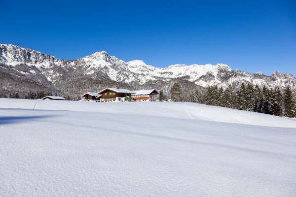 Bild aus der Galerie