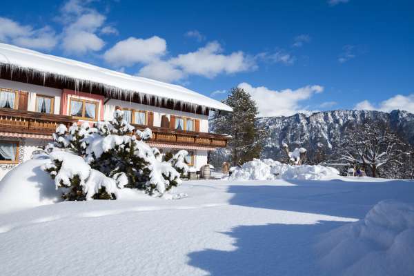 Bild aus der Galerie