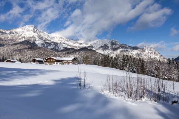 Bild aus der Galerie