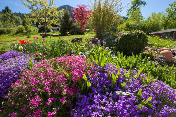 Bild aus der Galerie