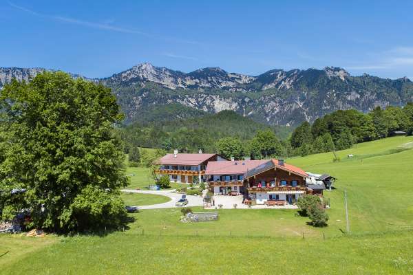 Mehr zu Pension Loiplstüberl