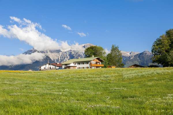 Bild aus der Galerie