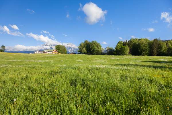 Bild aus der Galerie