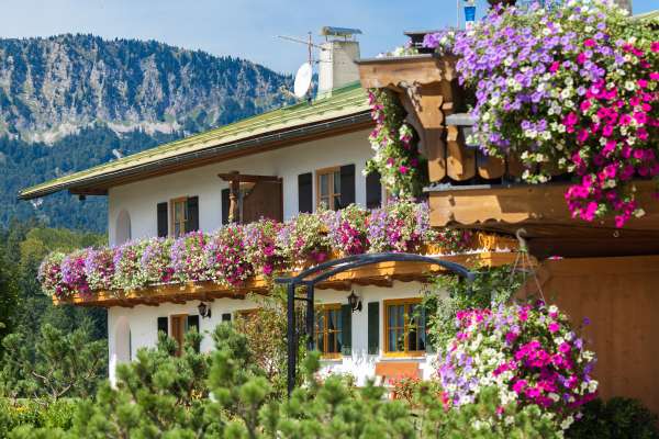 Bild aus der Galerie