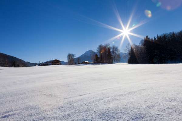 Bild aus der Galerie