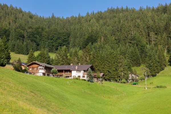 Bild aus der Galerie