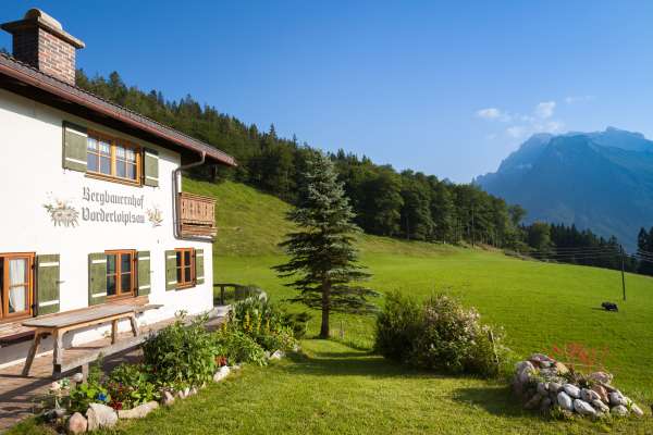 Bild aus der Galerie