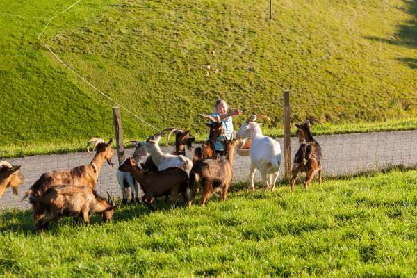 Bild aus der Galerie