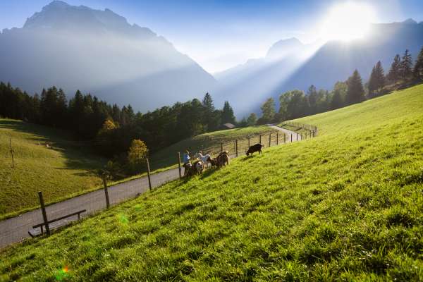 Bild aus der Galerie