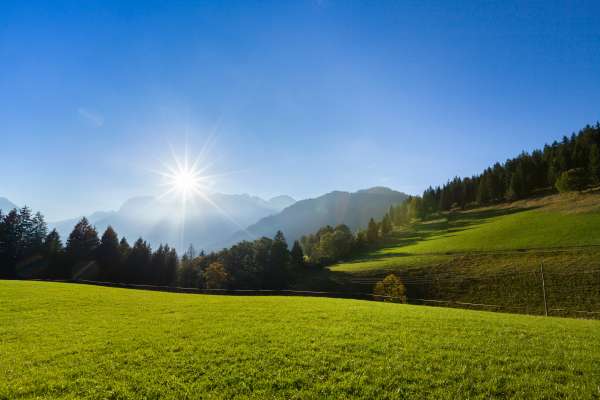 Bild aus der Galerie