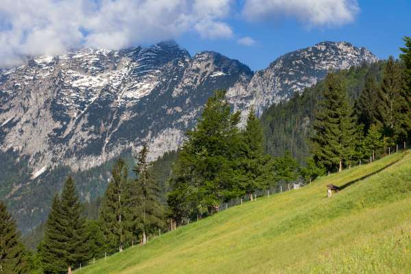 Bild aus der Galerie