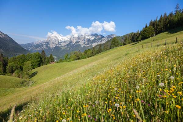 Bild aus der Galerie