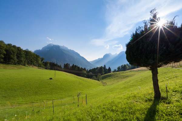 Bild aus der Galerie