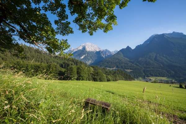 Bild aus der Galerie