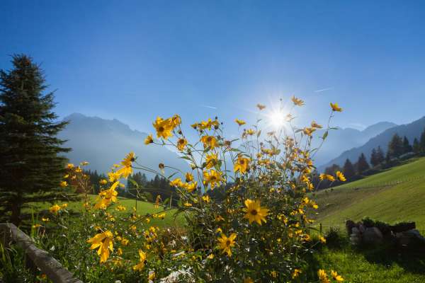 Bild aus der Galerie