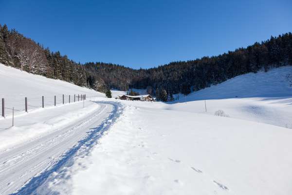 Bild aus der Galerie