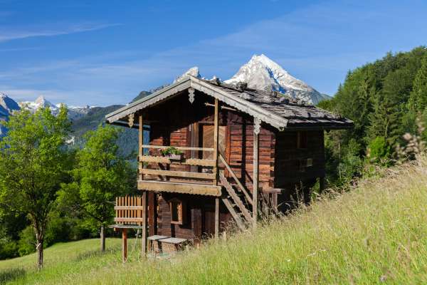 Bild aus der Galerie