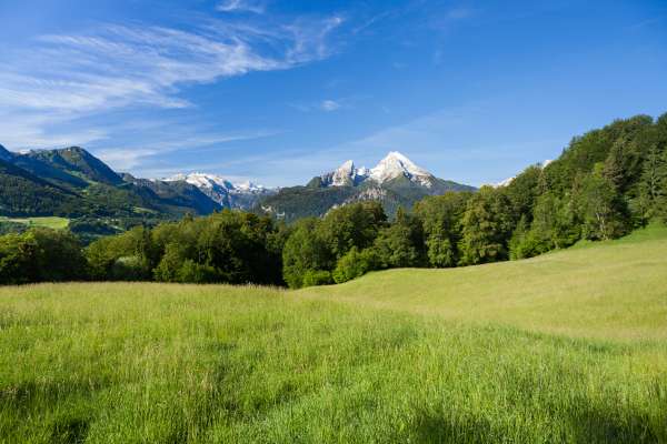 Bild aus der Galerie