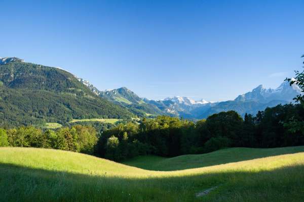 Bild aus der Galerie