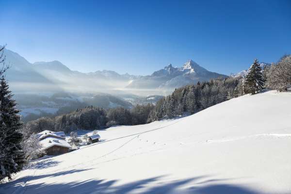 Bild aus der Galerie